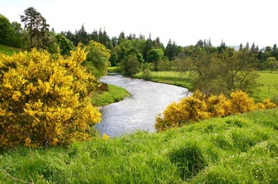 Auchcleuchrie_1
