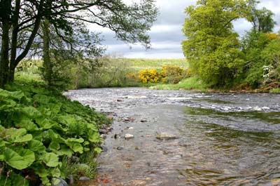 Auchleuchrie_3