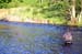 Fishing_the_Esk_Pool