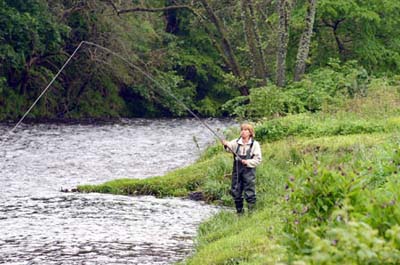 The_Wood_Stream