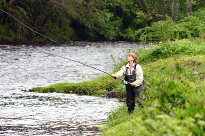 The_Wood_Stream_2