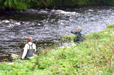 The_Woodstream_1