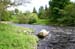 The_Bothy