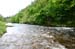 The_Fishy_Wood_Stream