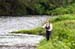 The_Wood_Stream_2