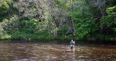 Fishing_the_Dam