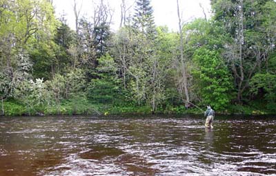 Fishing_the_Dam_3