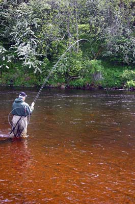 Playing_a_Fish_in_The_Dam