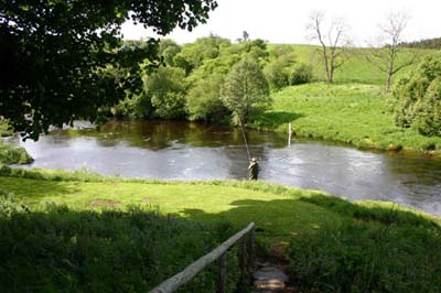 The_Garden_Pool_2