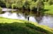Into_a_fish_The_Garden_Pool