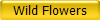 Wild Flowers
