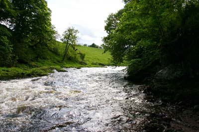 Top_of_the_Lang_Stream