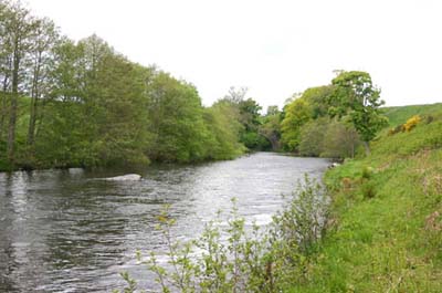 The_Red_Stream