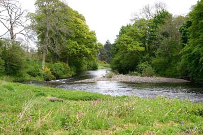 House_Pool_Looking_Downstream