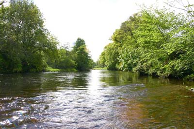 Upstream_from_Strachans