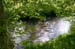 Cairney_2