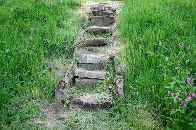 Well_made_steps_to_assist_access